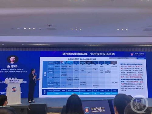 聚焦中關(guān)村論壇 中國(guó)AI大模型地圖發(fā)布，基礎(chǔ)軟件與特定領(lǐng)域布局待加強(qiáng)